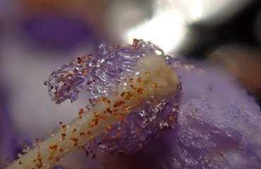 PB070859a.jpg